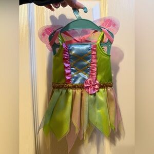 Fairy Princess Costume - Green and Pink